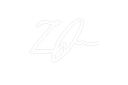 Tommy Lee signature logo